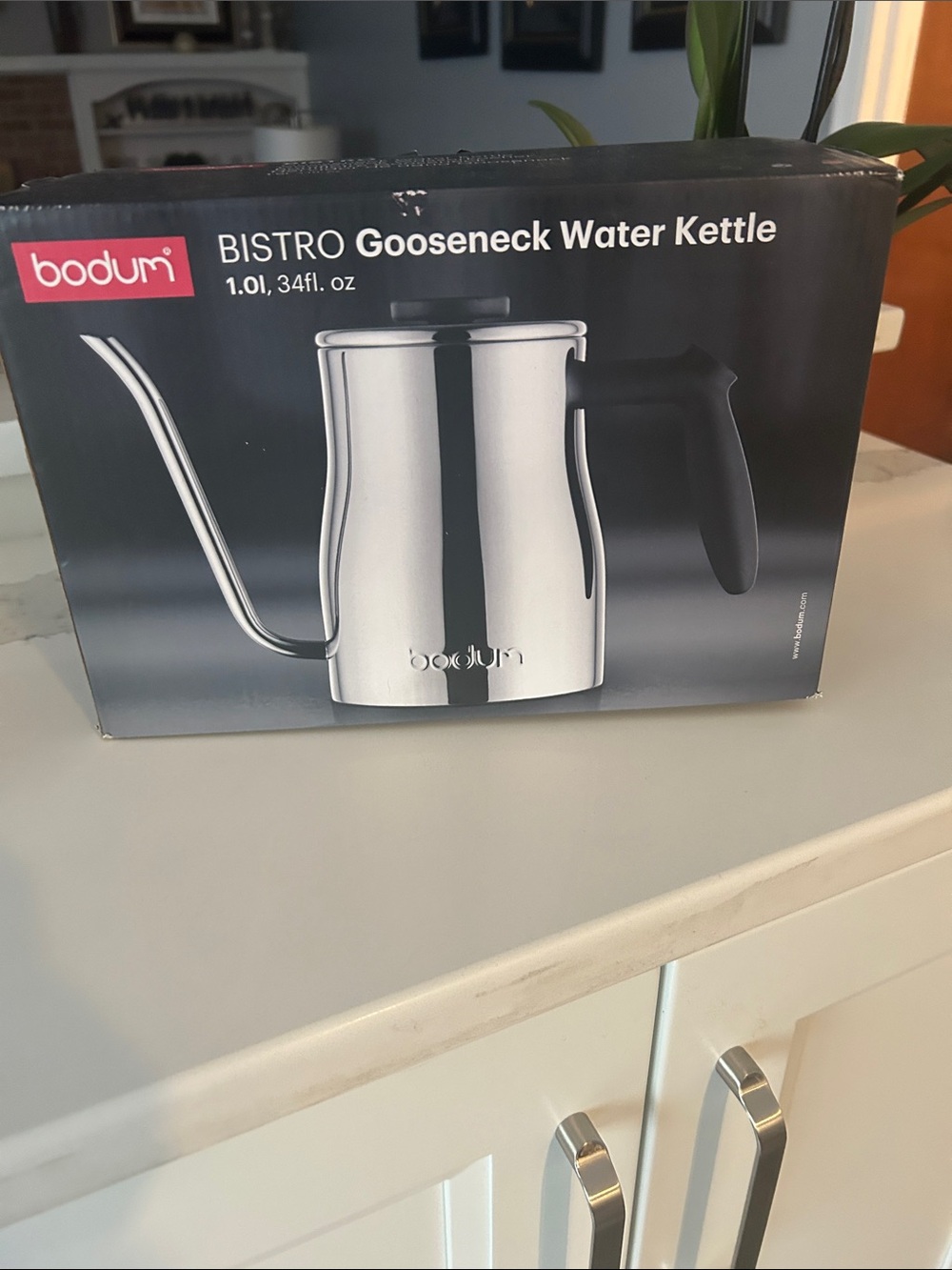 Bodum Stainless Steel Bistro Gooseneck Kettle with Black Handle